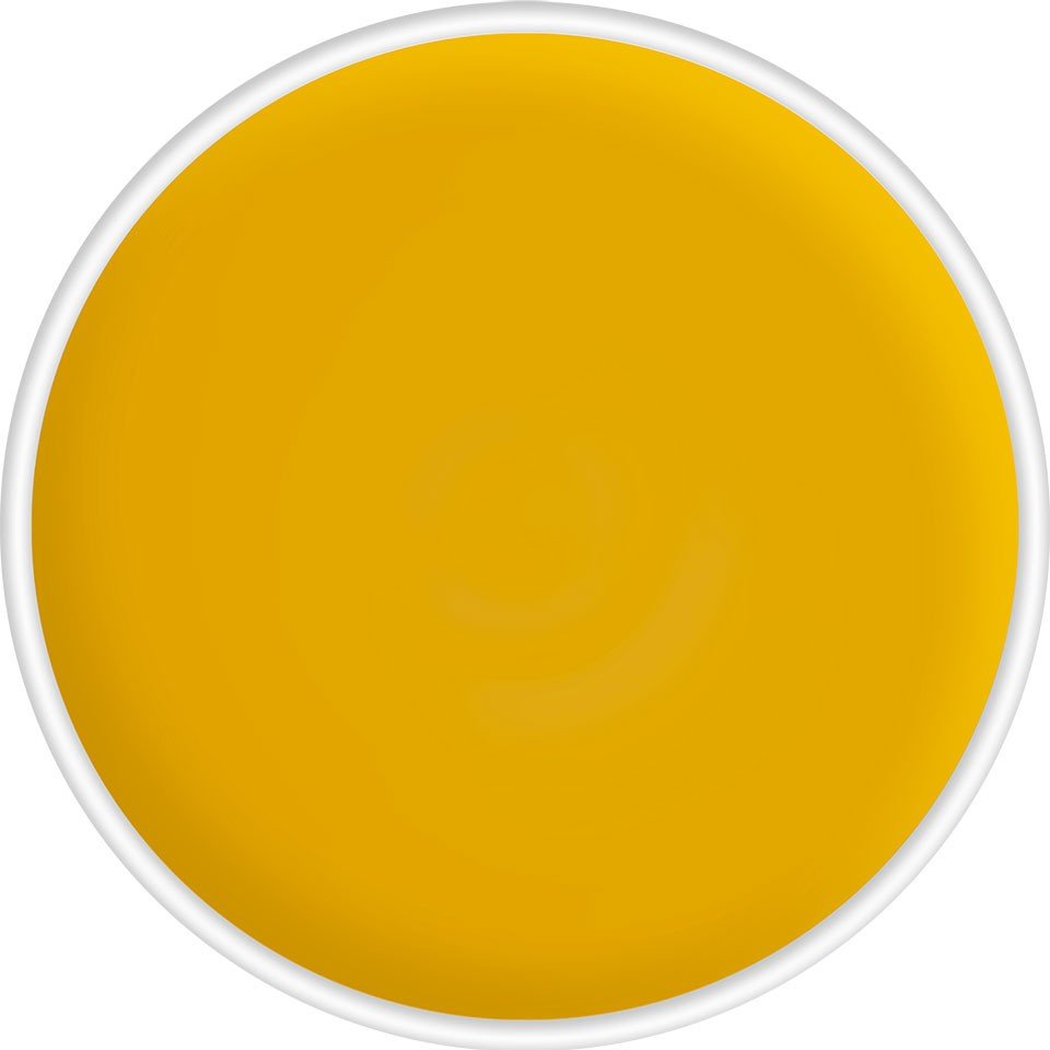 KRYOLAN WKŁADY PODKŁADY KAMUFLAŻ D GOLD 75005 - daermes.com