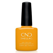 SHELLAC AMONG THE MARIGOLDS 7,3 ML - daermes.com