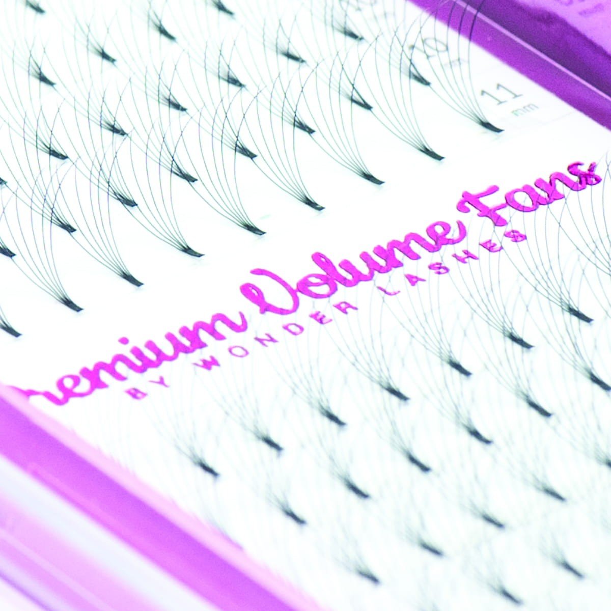 WONDER LASHES RZĘSY PREMIUM VOLUME 6D C 0,07 DŁ.8 - daermes.com